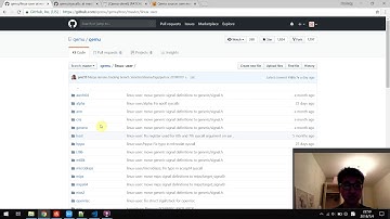 Qemu source code for user mode initialization and ioctls