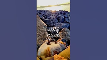 قل الحمد لله ❤ حالات واتس اب قران 💚تلاوة خاشعة 💙 Quran Status 💜 اية قرانية قصيره