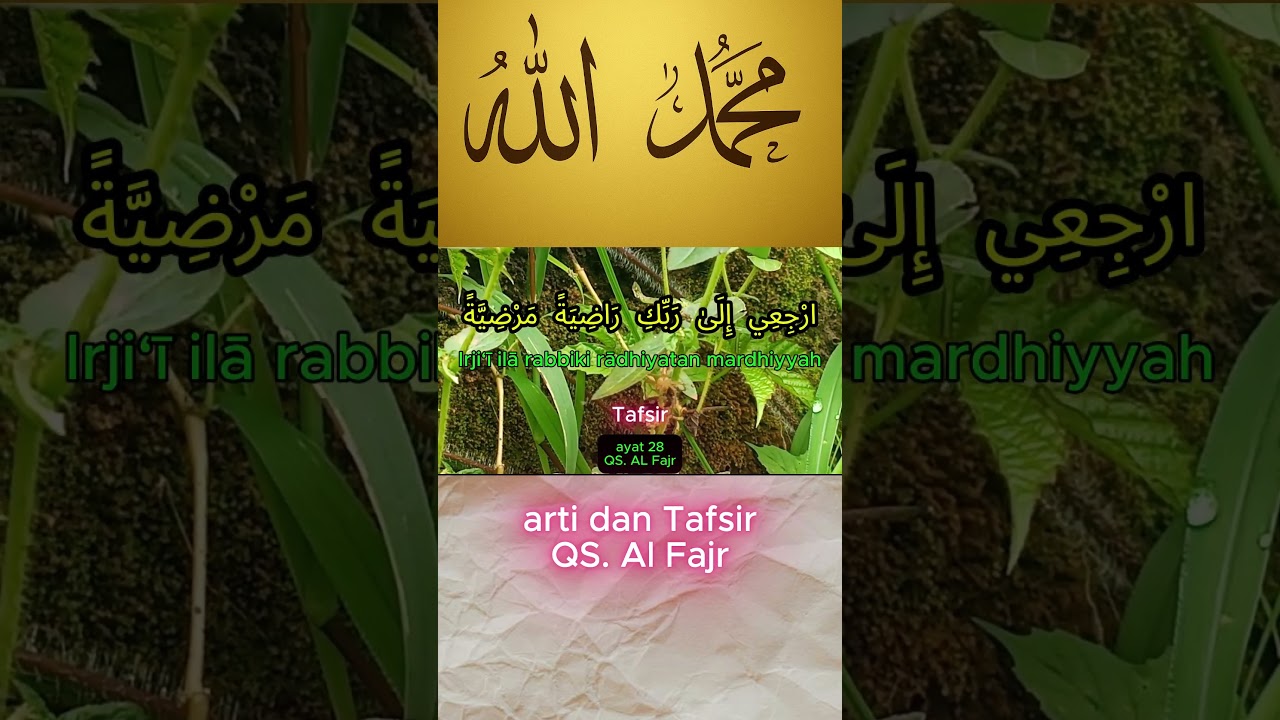 Arti & Tafsir Surah Al-Fajr Ayat 28 | Rida dan Diridai Allah 