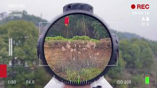 Discovery Optics Scope Hd 4-24X50Sfir Ffp