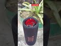 5 STAR  TOY  JBL BASS SPEAKER TESTING #ytshorts #shortvideo #alightmotion #eid