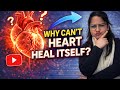 Why Can’t the Adult Human Heart Regenerate? | Hippo-YAP Pathway