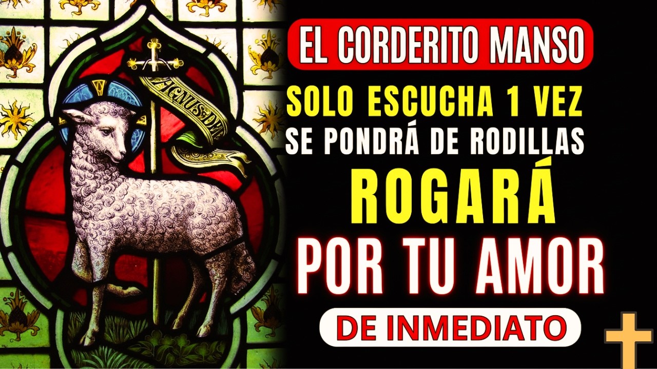 😱INMEDIATO: EL AMARRE DEL CORDERITO MANSO QUE DOBLA VOLUNTADES Y HACE QUE VUELVA YA