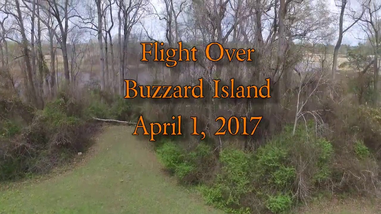 Flight Over Nansemond River's Buzzard Island, Suffolk, VA