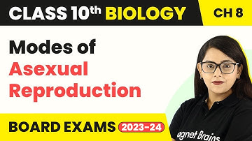Types of Asexual Reproduction - How Do Organisms Reproduce? | Class 10 Biology Chapter 8