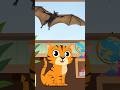 Fun Facts About Bats #funfacts #factsforkids #kidslearning #kidsvideo #funny #learning #facts