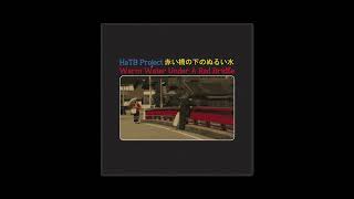 HaTB Project - Warm Water Under A Red Bridge (Full Album Stream)