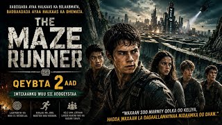 The Maze Runner Qaybta 2 | Markii Ay Labyrinth-ka Ka Baxsadeen, Dhibaatadu Way Sii Bilaabatay!