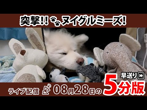 わさお♪ wasao_official • Instagram photos and videos