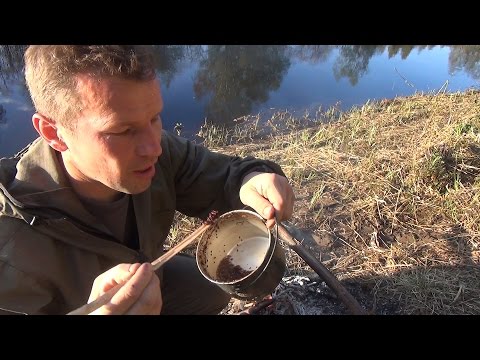 Видео: Как сварить "еловую"кашу