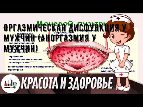 Оргазмическая дисфункция у мужчин (Аноргазмия у мужчин)