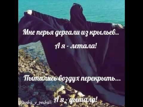 Мне перья дергали из крыл а я летала. Мне перья дергали из крыл а я летала стих. Мне перья дергали из крыл а я летала. Мне перья дергали из крыл текст. Мне крылья дергали из крыл.