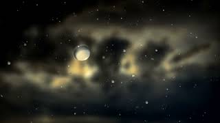 Rain Drops 🌧️💧 No Copyright Video | Free Stock Video | Free Stock Footage | Rain Drops 🌧️💧 ‖NCV‖