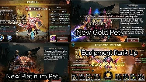 Diablo666 - Platinum Pet Activation - Gold Pet Activation - Boosting Rank - Legacy of Discord