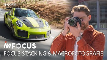 #SonyInFocus | Focus Stacking met de A7RV  door Olivier Groot