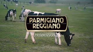 How Parmigiano Reggiano is crafted