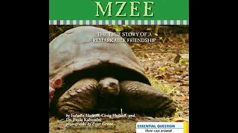 Owen and Mzee (Journeys Lesson 24)