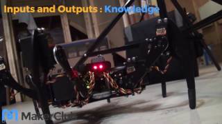 Inputs and Outputs