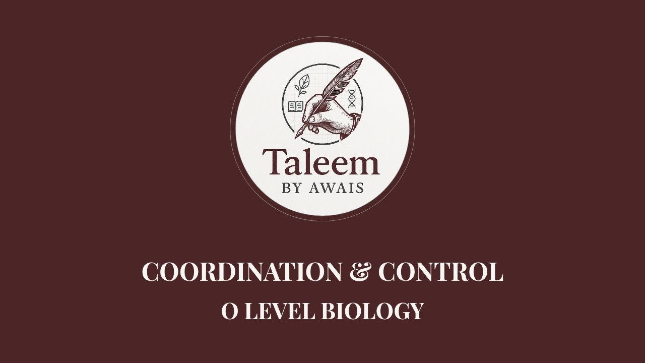 Coordination and Control | O Level Biology Lecture | Nervous & Hormonal ...