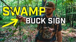 SWAMP SCRAPES, Scouting Riverbottoms for Whitetails, Listener Q&A