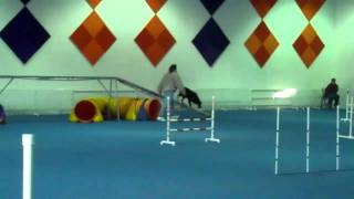 Sara & Toke - CPE Full House Level 1