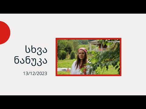 სხვა ნანუკა - ბუბა ჭოღოშვილი და ნანკა გვარიშვილი; აკა ნანიტაშვილი; ლევან ლაბარტყავა