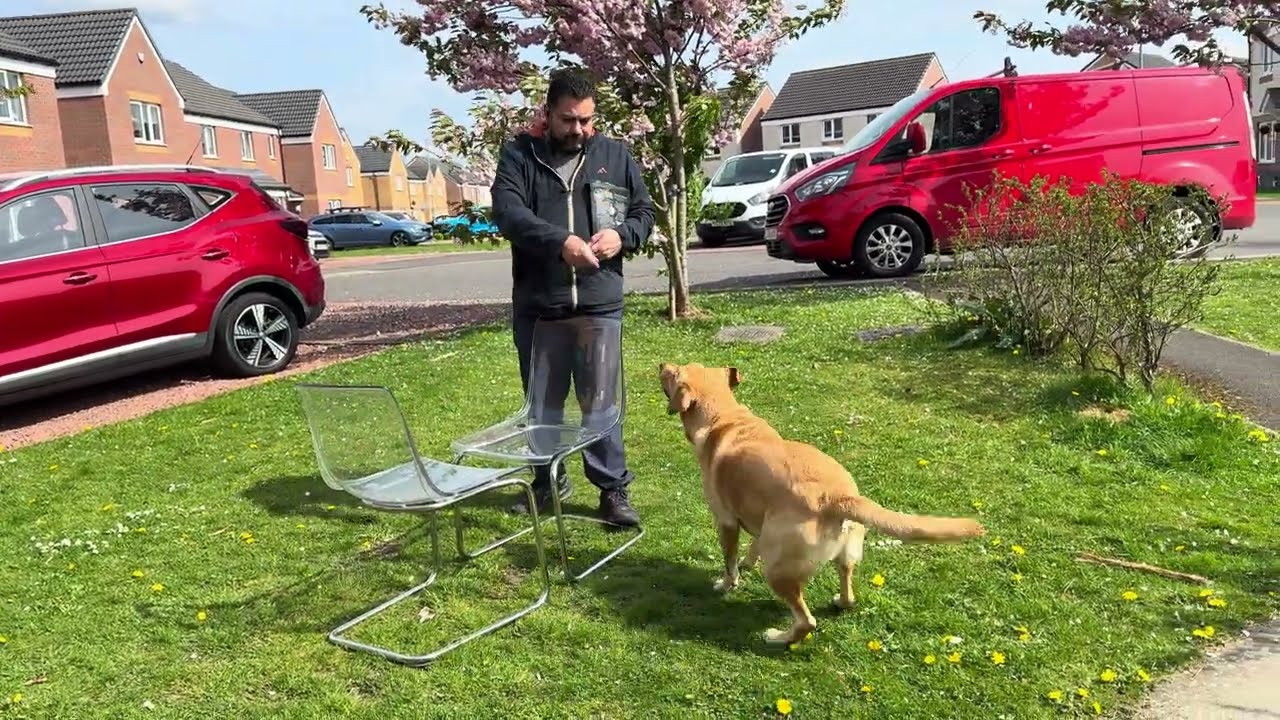 В собаках есть что-то такое, что заставляет тебя чувствовать себя хорошо 😊 