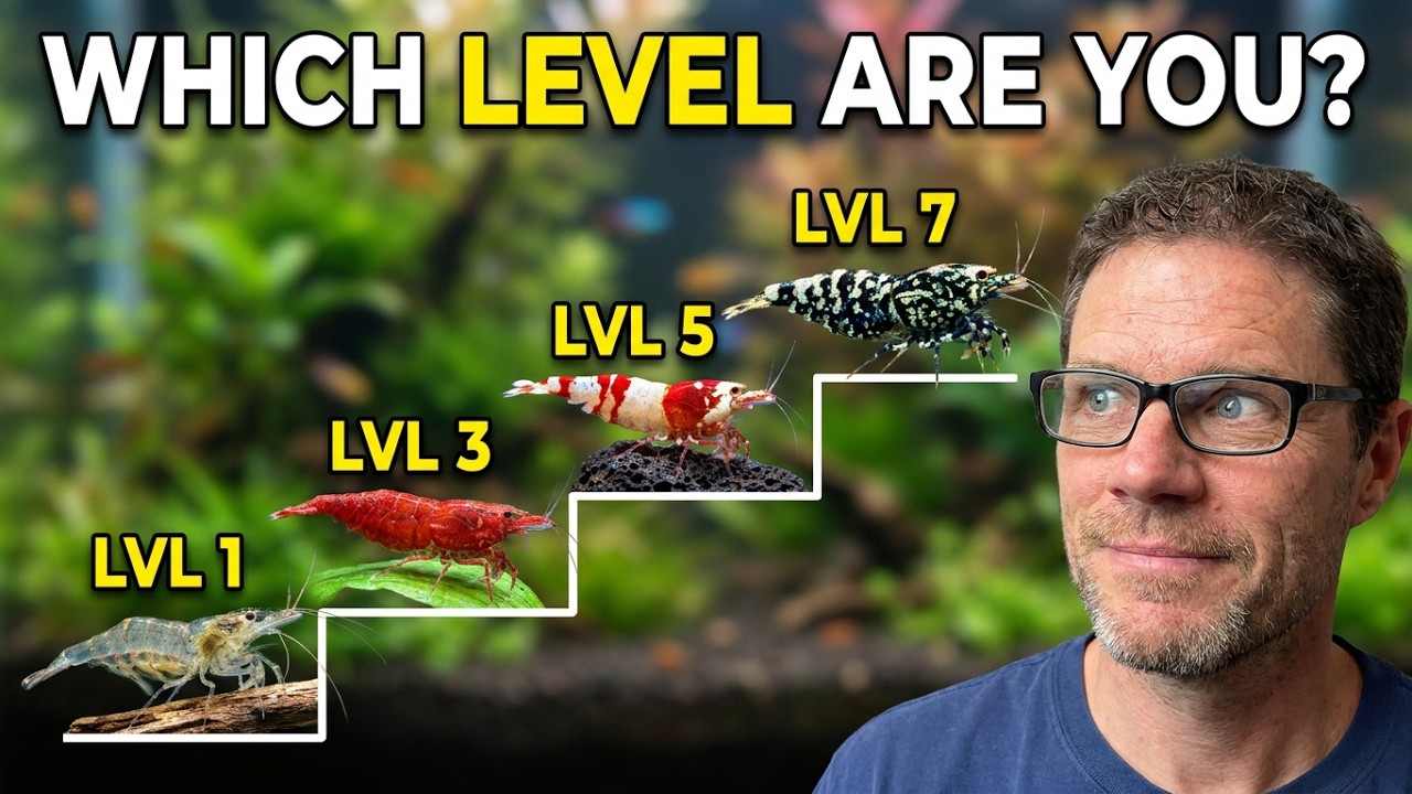 7 Levels of Shrimp Keeping: Which Level Are YOU?