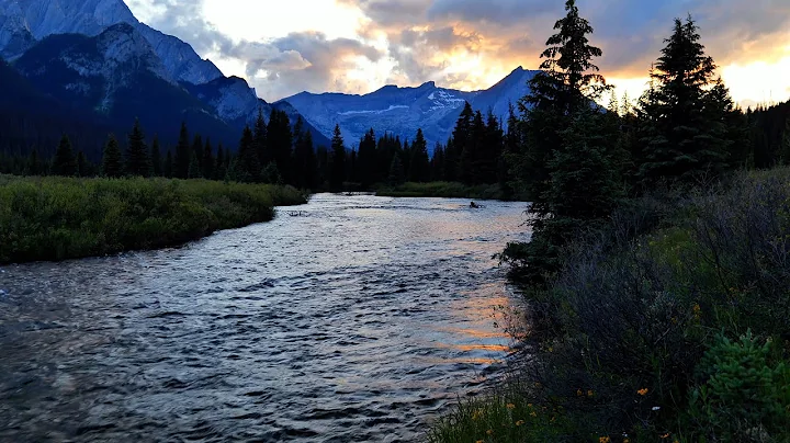 4K Elk River Sunset | Gentle Mountain River in BC Backcountry | Relaxing Nature Sounds for Sleep thumbnail
