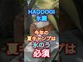 【キャンプで氷のう】丸1日使える熱中症対策! #アウトドア #hagoogi #キャンプ用品
