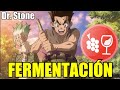 Aprende con ANIME | FERMENTACIÓN EN DR. STONE | Química