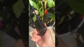 Compact Two-Way Radio for Emergency Communication#TwoWayRadio #EmergencyPreparedness