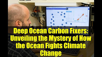 Deep Ocean Carbon Fixers: Unveiling the Mystery of How the Ocean Fights Climate Change