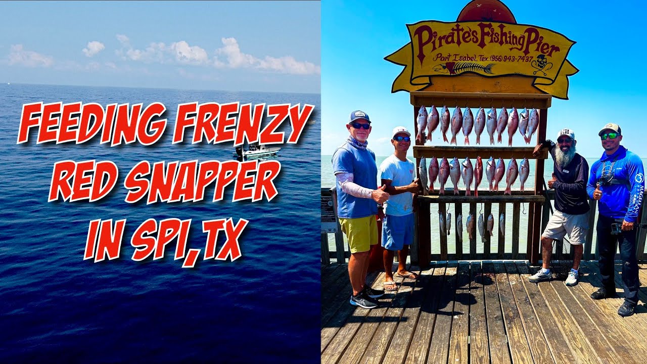 RED SNAPPER AT RGV REEF, South Padre Island, TX