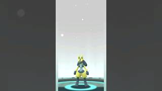 Finally shiny lucario |riolu hatch day #pokemon #anime #1k