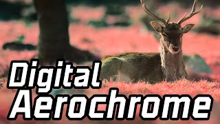 Creating Digital Aerochrome