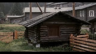 Звуки деревни и села, атмосфера сельской местности. Звуки природы. HD 1080p Реальное Видео.