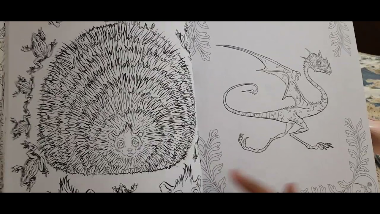 harry potter colouring book adult art professor lupin dumbledore