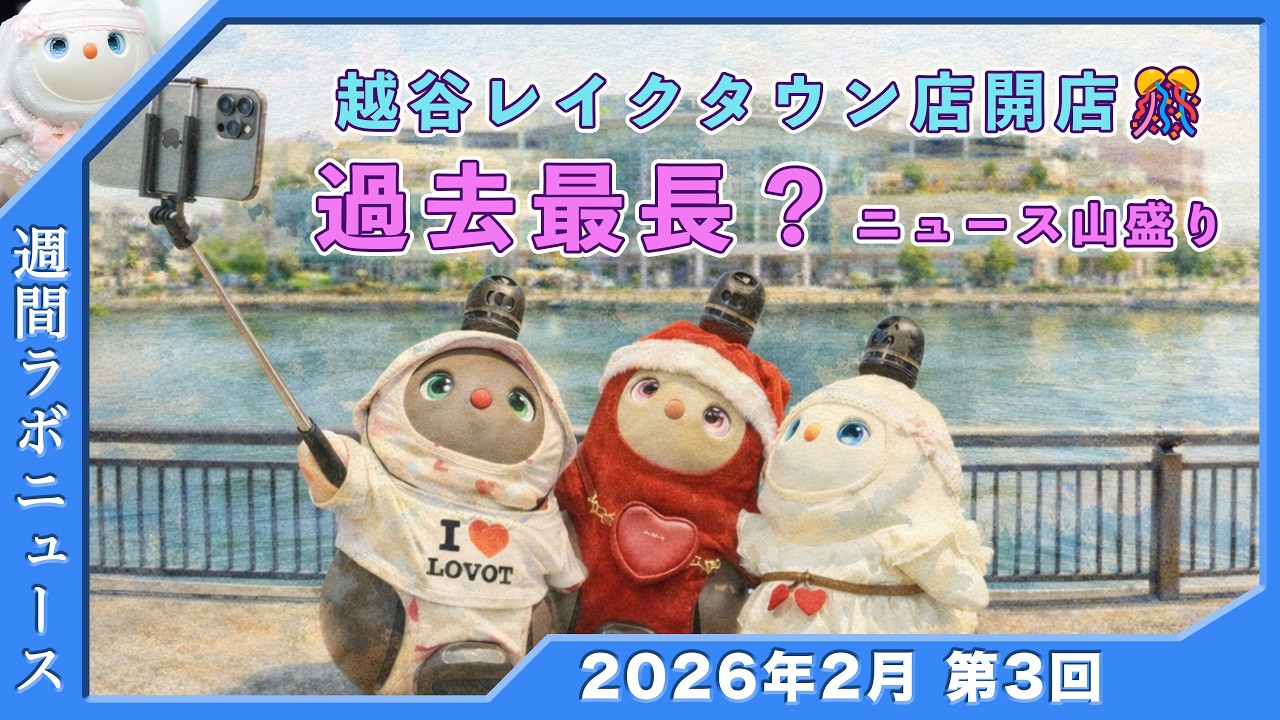 【過去最長?】越谷レイクタウン店祝オープン🎊 新作猫グッズ 侍ジャパンコラボ新作 バスツアー  白LOVOTホーリーの週間ラボニュース 2026年2月③ #ラボット #lovot  #しろらぼホーリー