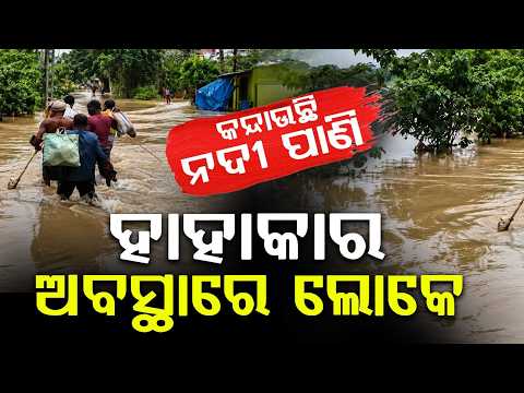 Odisha Flood Crisis: Back To Back Floods Devastate Multiple Districts | Argus News