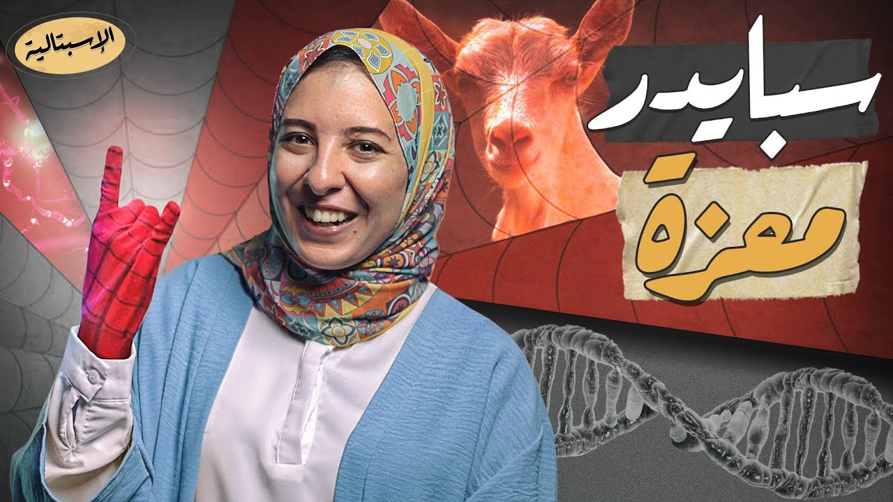 الإنسان يغير في جينات الكائنات ؟؟! خيوط العنكبوت تفرز في لبن ماعز ! | الاسبتالية