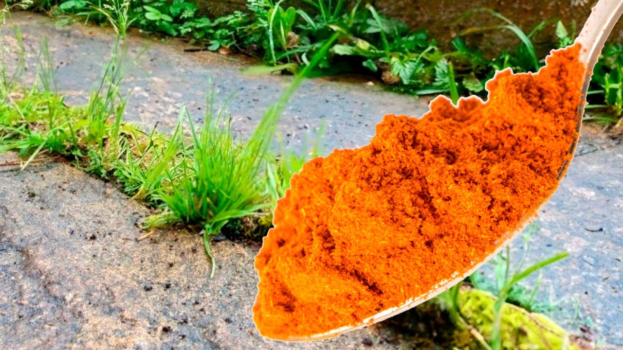 Сорняки исчезают за 1 минуту навсегда! Сильнейший органический гербицид ...