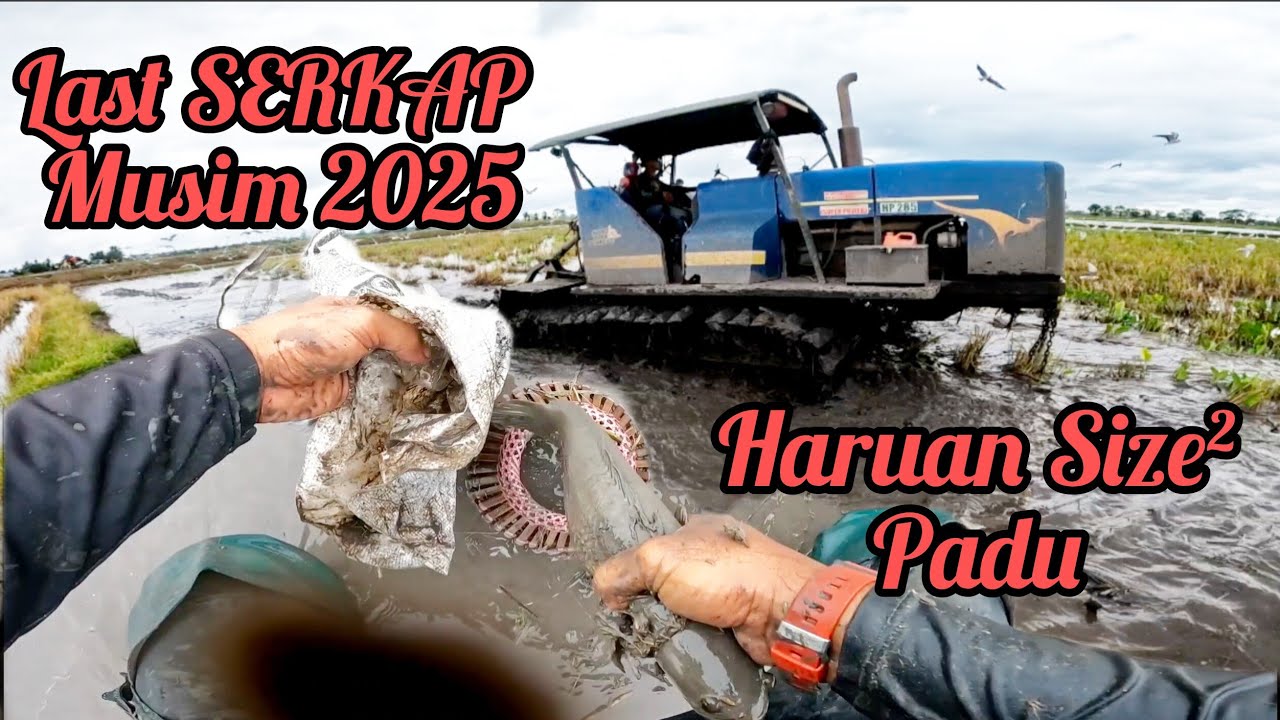 Last SERKAP Musim 2025 Ligan Trekta Kangaroo Lari Dalam Selut Haruan Size² Makan Cekak s448