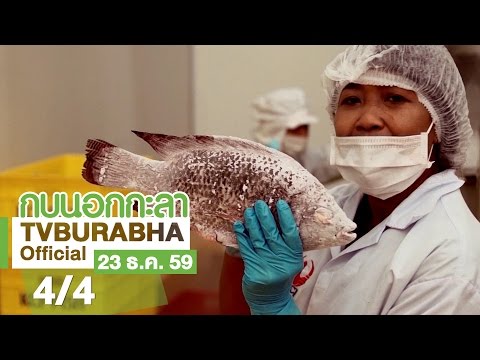 สื่อวิดีทัศน์..คลิก