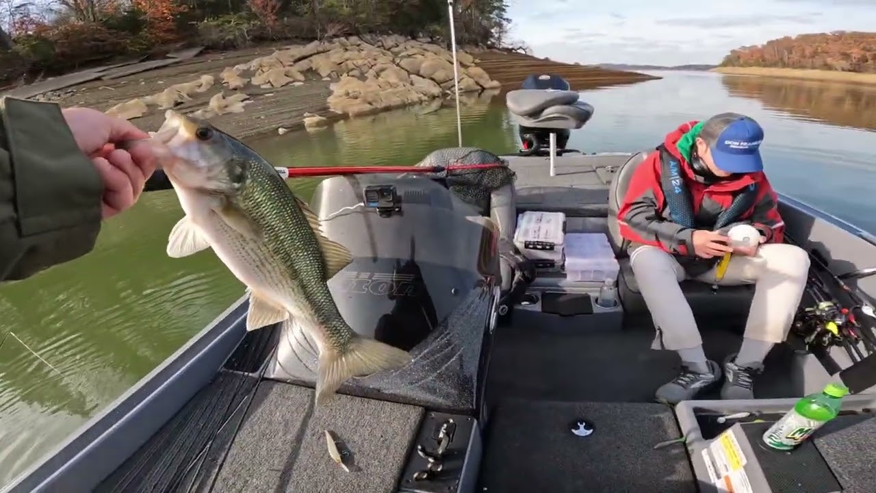 Cherokee Lake Bass Fishing November 15th Bucks & Bass Tournament