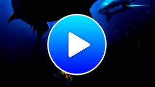 47 Meters Down Ull Ovie