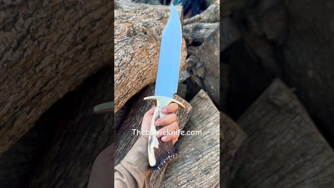 Top Best Bowie Knife 2023