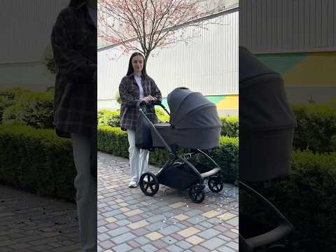 Коляска універсальна дитяча 2в1 EL CAMINO ME 1091-2 PERSONA Granite Gray, темно-сіра, видео 1