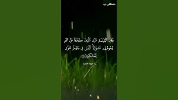 آيات خاشعة من سورة الزمر بصوت القارئ مصطفى جيد حفظه الله