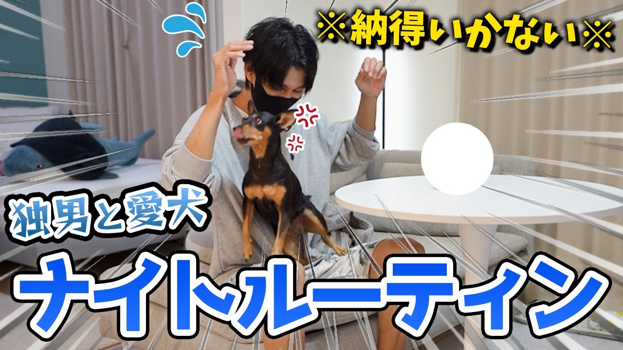 みそきん爆●で壊れた飼い主！納得いかない犬と秋のナイトルーティン